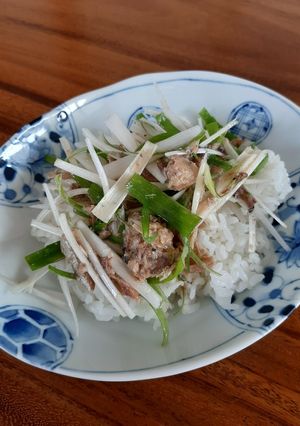 チョーサッパリ、❗鯖水煮丼(ネギ塩)-レシピのメイン写真