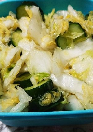 超々~簡単☆白菜と胡瓜のお漬物-レシピのメイン写真
