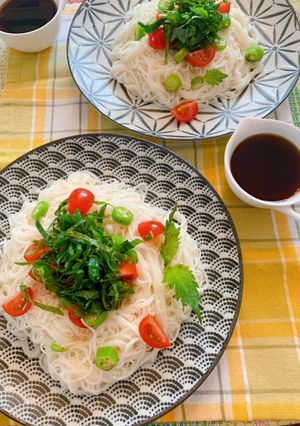 夏野菜でぶっかけそうめん-レシピのメイン写真