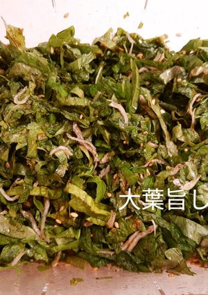青じそのちりめんじゃこ醤油漬け-レシピのメイン写真