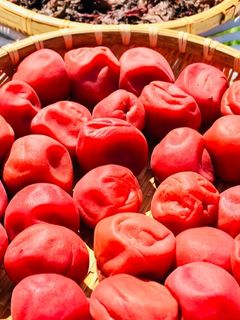 減塩梅干し(10%)の作り方②-レシピのメイン写真