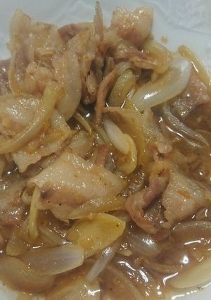 豚肉と玉ねぎのニンニクスタミナ炒め-レシピのメイン写真