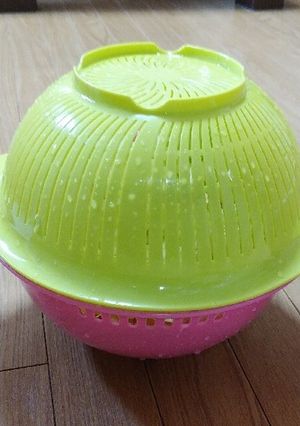 野菜の『専用水切り』要らずっ!-レシピのメイン写真