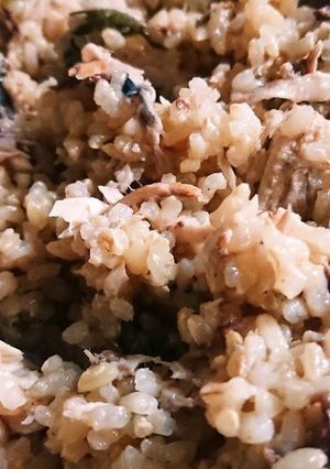焼き鯖炊込ご飯-レシピのメイン写真