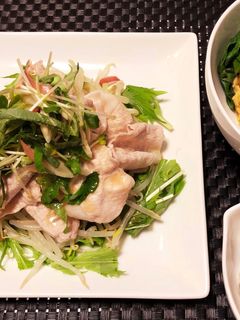 薬味たっぷり!彩りの冷しゃぶサラダ-レシピのメイン写真
