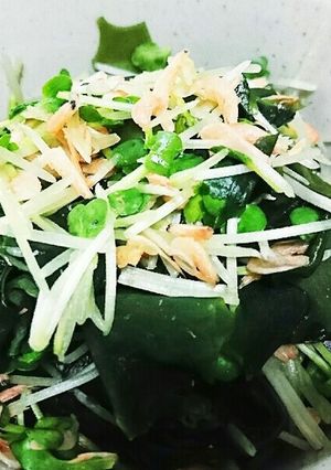 かいわれ&ワカメ&干しエビ-レシピのメイン写真