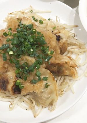 大葉とチーズ入りおろしポン酢がけ和風餃子-レシピのメイン写真