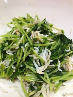 簡単!早い!豆苗としらすの和え物-レシピのメイン写真