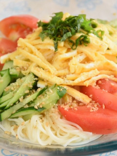 簡単野菜サラダ素麺-レシピのメイン写真