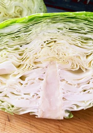 長持ちのコツ☆半分キャベツの冷蔵庫保存-レシピのメイン写真