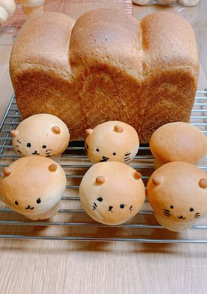 ねこパン(板チョコ入り)-レシピのメイン写真