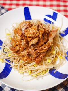 豚こまもやし炒め-レシピのメイン写真