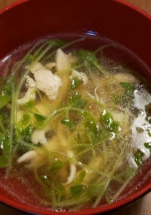 豆苗ととりむね肉のスープ-レシピのメイン写真