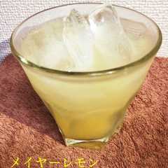 รูปของ ニュージーランド産レモネード☆★