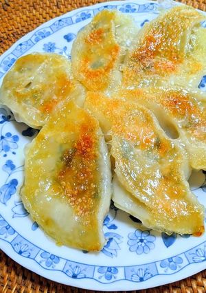 たっぷりもやしとニラの餃子-レシピのメイン写真
