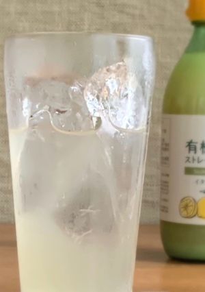 こまめに水分補給！低糖質メープル塩レモン-レシピのメイン写真