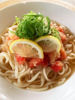 トマトおろしうどん-レシピのメイン写真