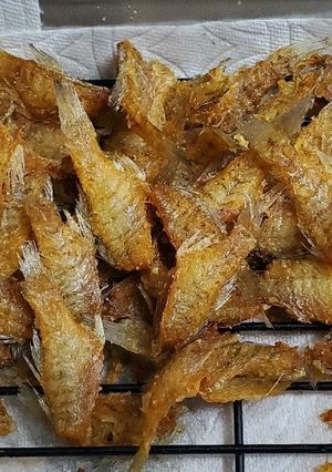 イシモチ(ネブト)の唐揚げ-レシピのメイン写真