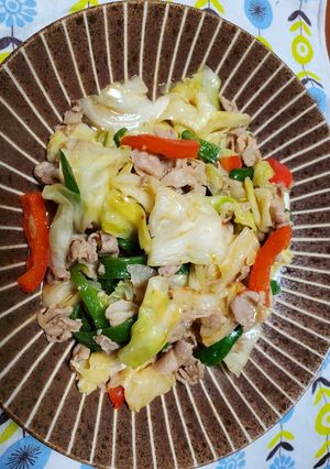 野菜たっぷり回鍋肉-レシピのメイン写真