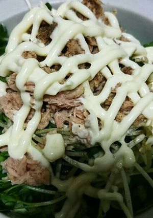 ピーマンかいわれツナマヨ-レシピのメイン写真