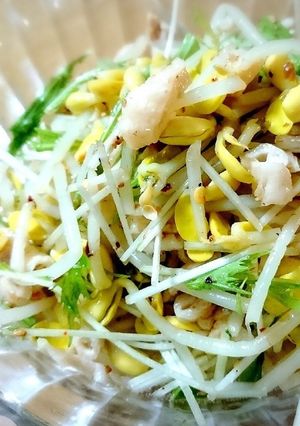 鶏皮と豆もやしと水菜のおひたし-レシピのメイン写真