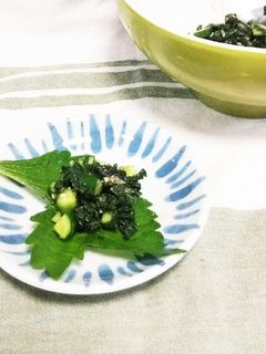 きゅうりと大葉の和え物-レシピのメイン写真
