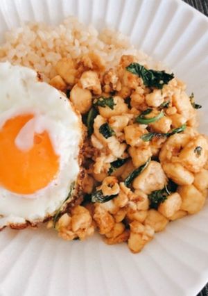 豆腐で作るヘルシーなガパオライス-レシピのメイン写真