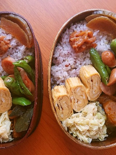 お弁当2020年8月5日-レシピのメイン写真