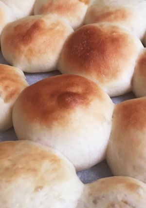 ふわふわおいしいクリームミルクちぎりパン-レシピのメイン写真