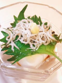 しらすと大葉の冷奴-レシピのメイン写真