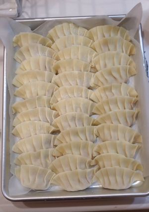 お家で簡単手作り餃子-レシピのメイン写真