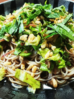 薬味蕎麦-レシピのメイン写真
