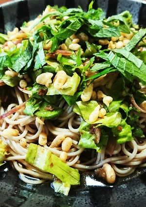 薬味蕎麦-レシピのメイン写真