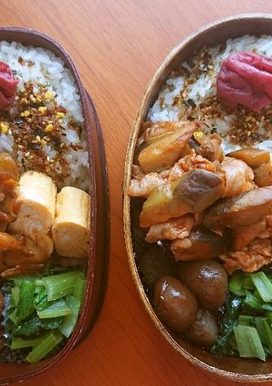 お弁当2020年8月6日-レシピのメイン写真