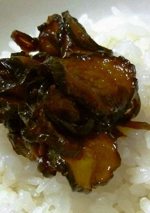 きゅうりの佃煮-レシピのメイン写真