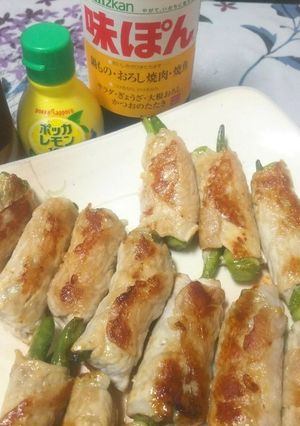 いろいろ野菜の豚肉巻き-レシピのメイン写真