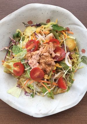 流水麺&市販のサラダで、冷やし中華-レシピのメイン写真