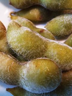枝豆の茹で方・うぶ毛も活かす冷凍保存-レシピのメイン写真