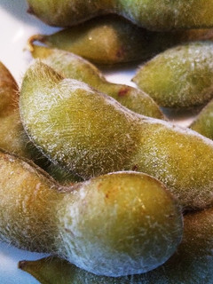 枝豆の茹で方・うぶ毛も活かす冷凍保存-レシピのメイン写真
