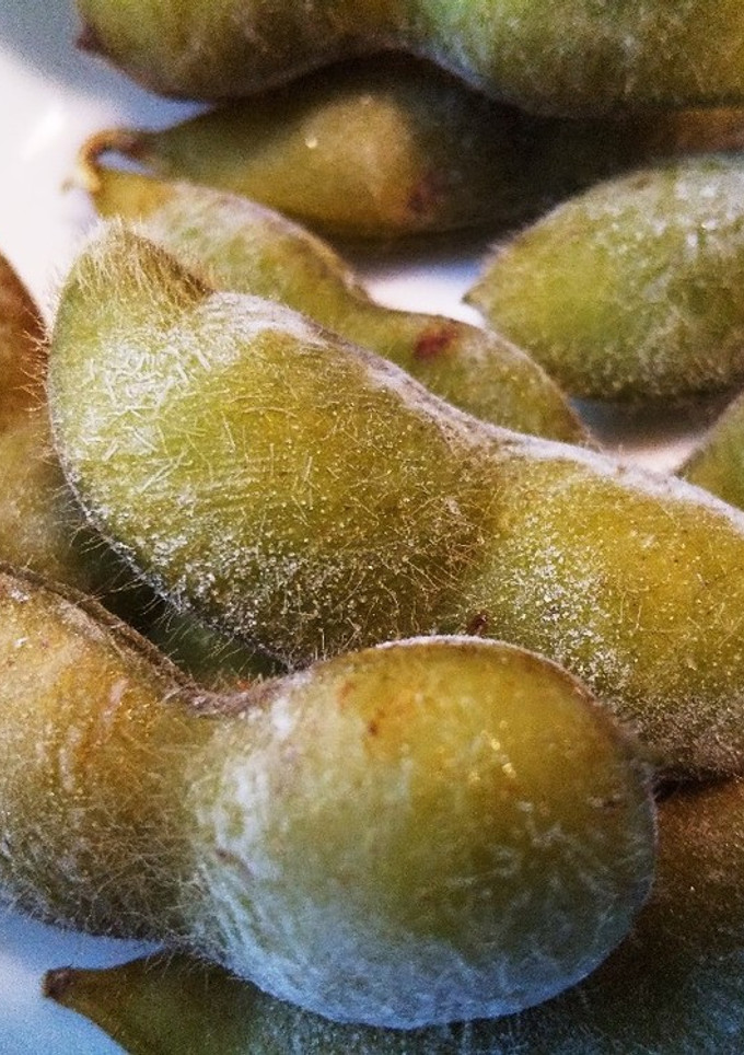 枝豆の茹で方・うぶ毛も活かす冷凍保存-レシピのメイン写真