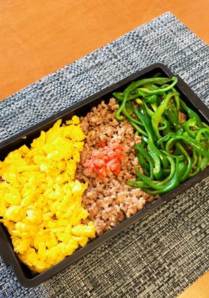 豚の3色弁当　2020/08/07-レシピのメイン写真