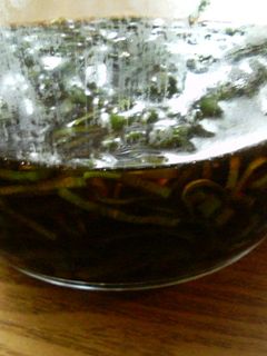 ねぎの醤油漬け-レシピのメイン写真