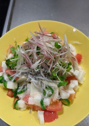 夏野菜たっぷり!カラフルポン酢奴-レシピのメイン写真