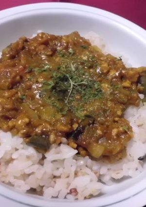フライパンで夏野菜の時短キーマカレー-レシピのメイン写真