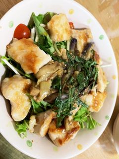 夏バテ防止!茄子と鶏肉のおかずサラダ-レシピのメイン写真