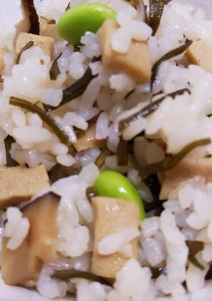 高野豆腐の混ぜご飯-レシピのメイン写真