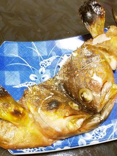 アコ(キジハタ)の兜焼き-レシピのメイン写真