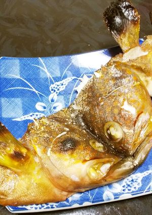 アコ(キジハタ)の兜焼き-レシピのメイン写真