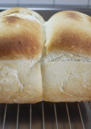 ごパン(ご飯入りパン)-レシピのメイン写真