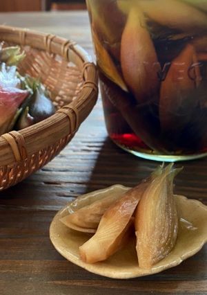 茗荷の麺つゆ漬け-レシピのメイン写真